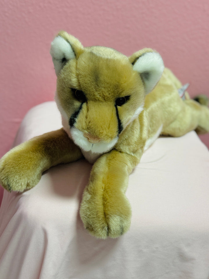 Kelso The Mountain Lion