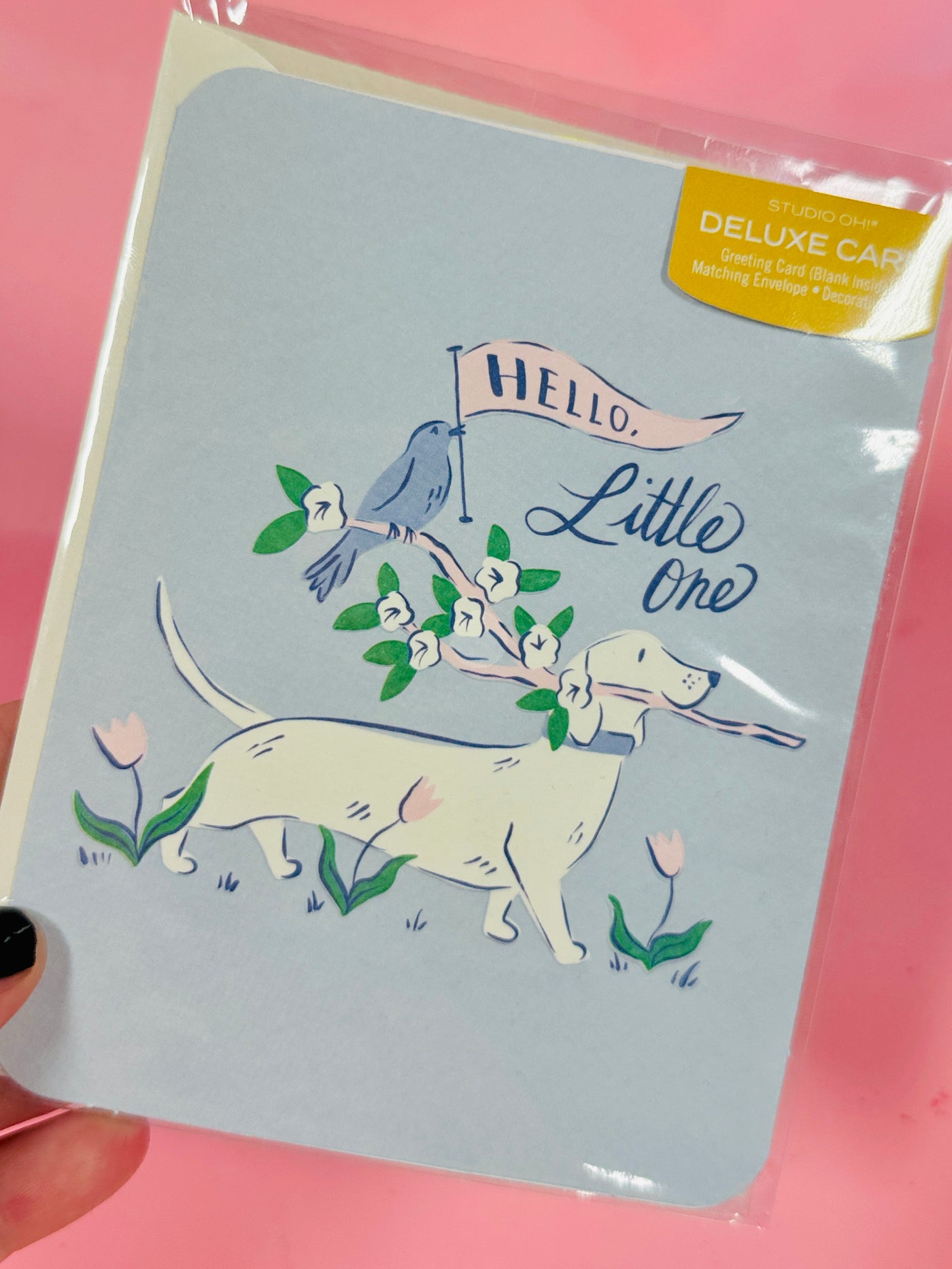 Hello, Little One Greeting Card