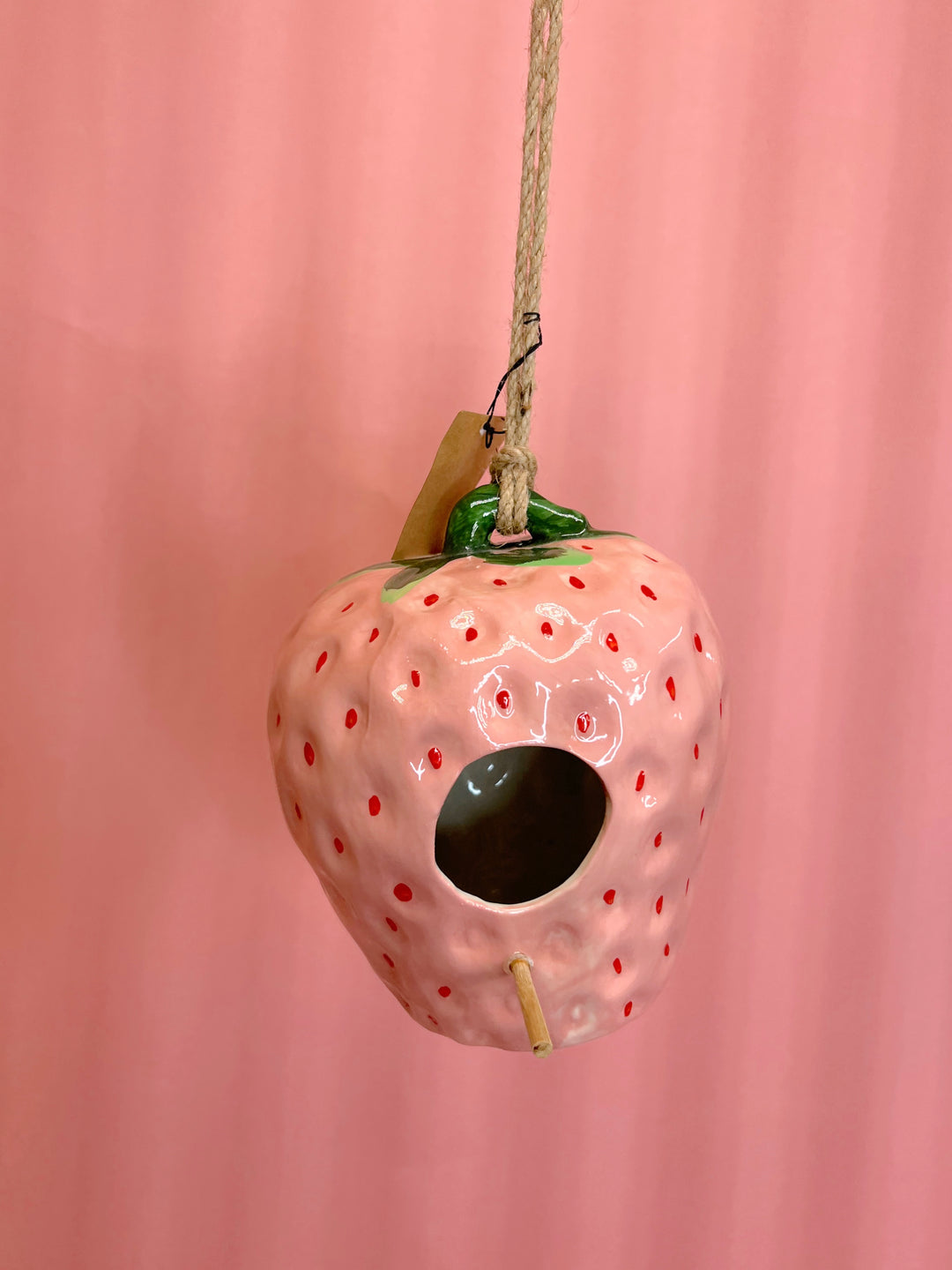 Hanging Strawberry Birdhouse