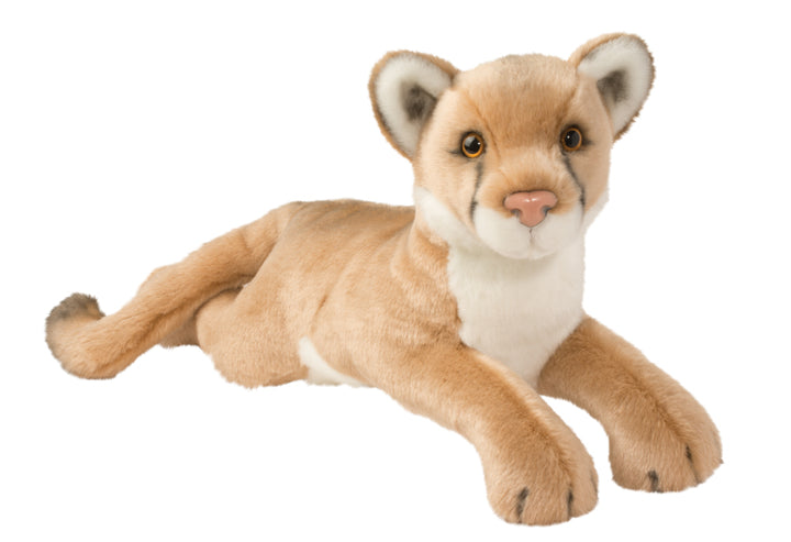 Kelso The Mountain Lion