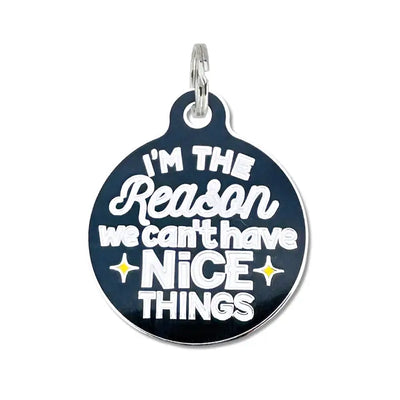 Can't Have Nice Things Dog Collar Charm