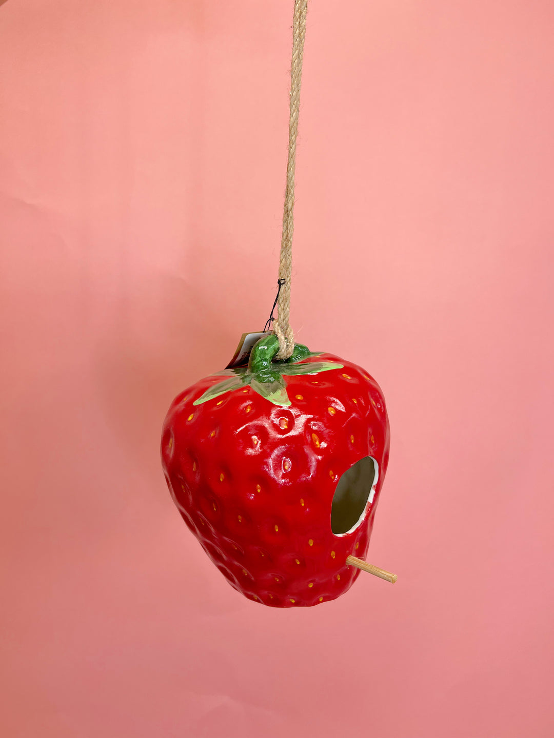 Hanging Strawberry Birdhouse