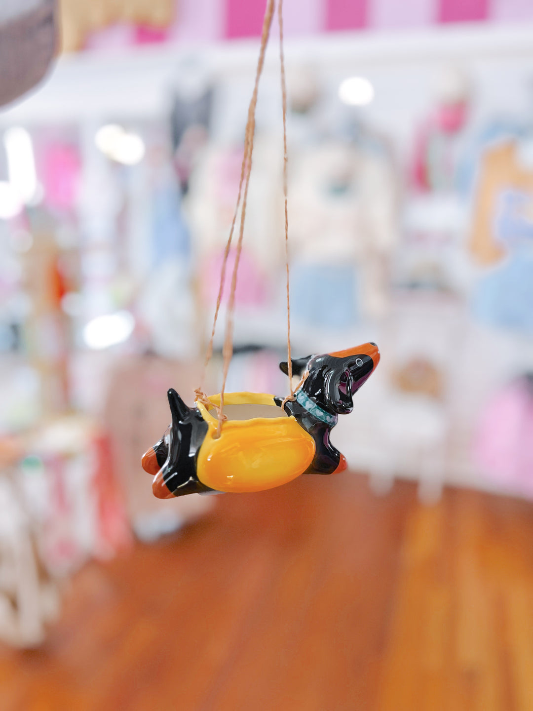 Hot Dog Hanging Planter