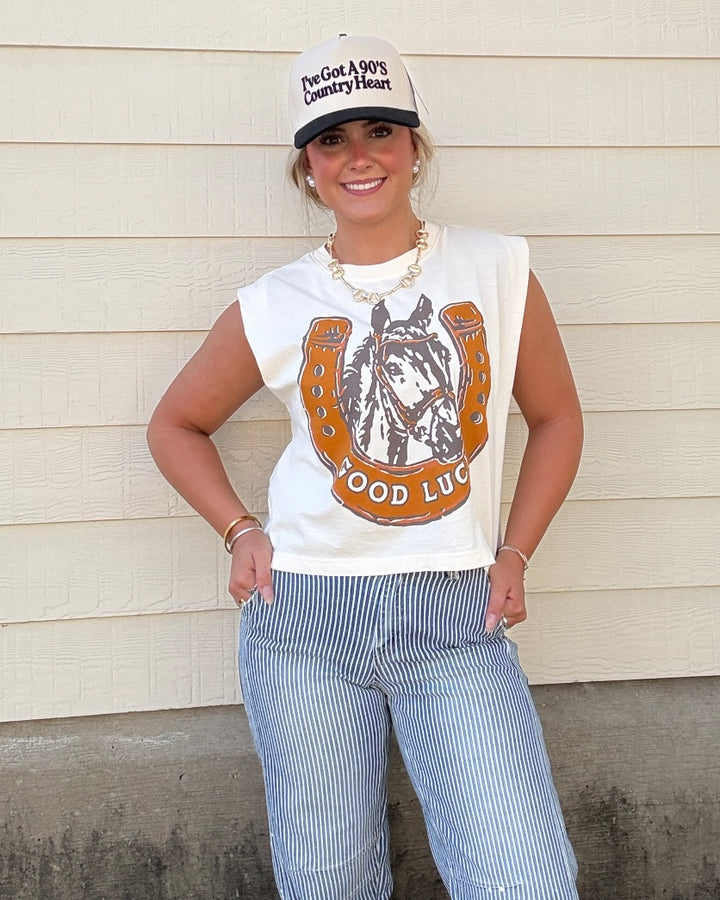 Paint The Town Pinstripe Barrel Jeans