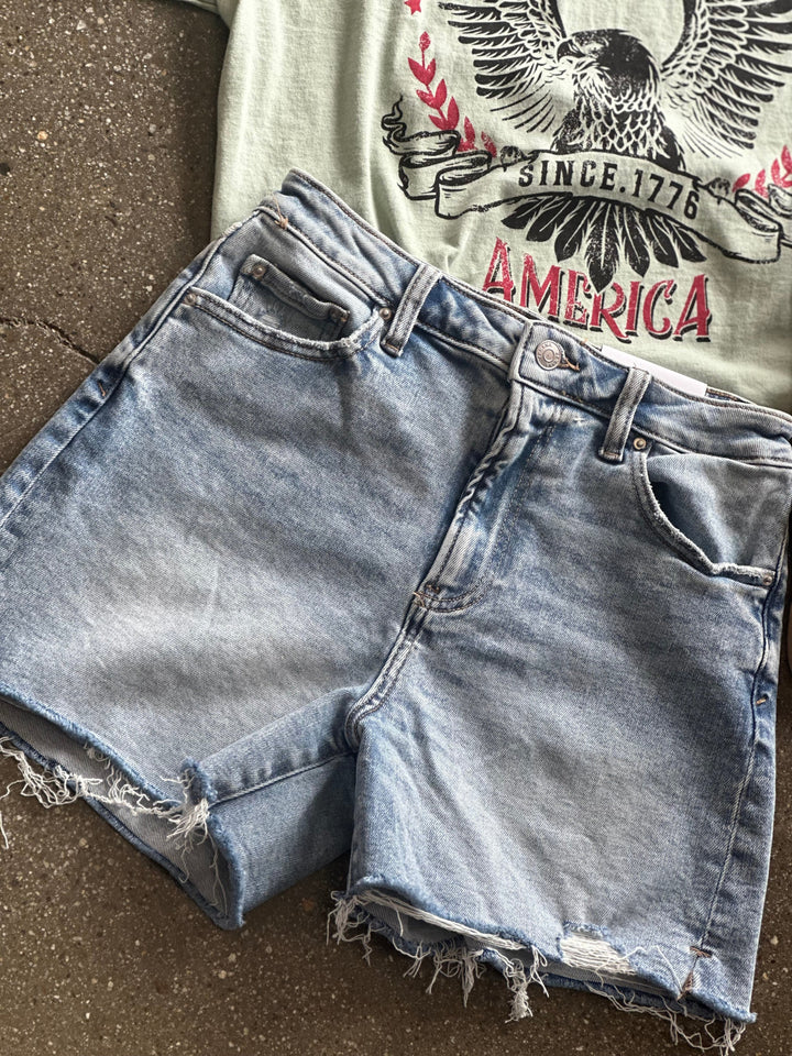 The Desi Denim Shorts