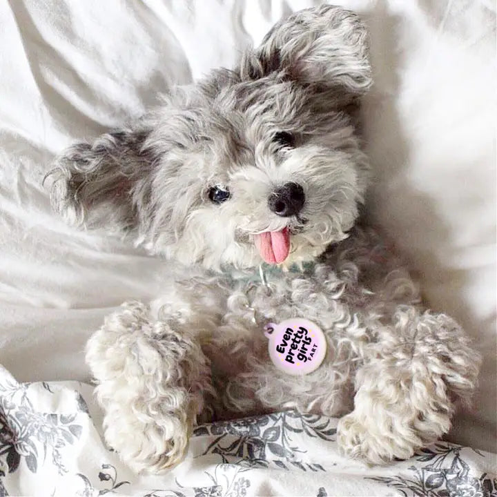 Even Pretty Girls Fart Pet Id Tag