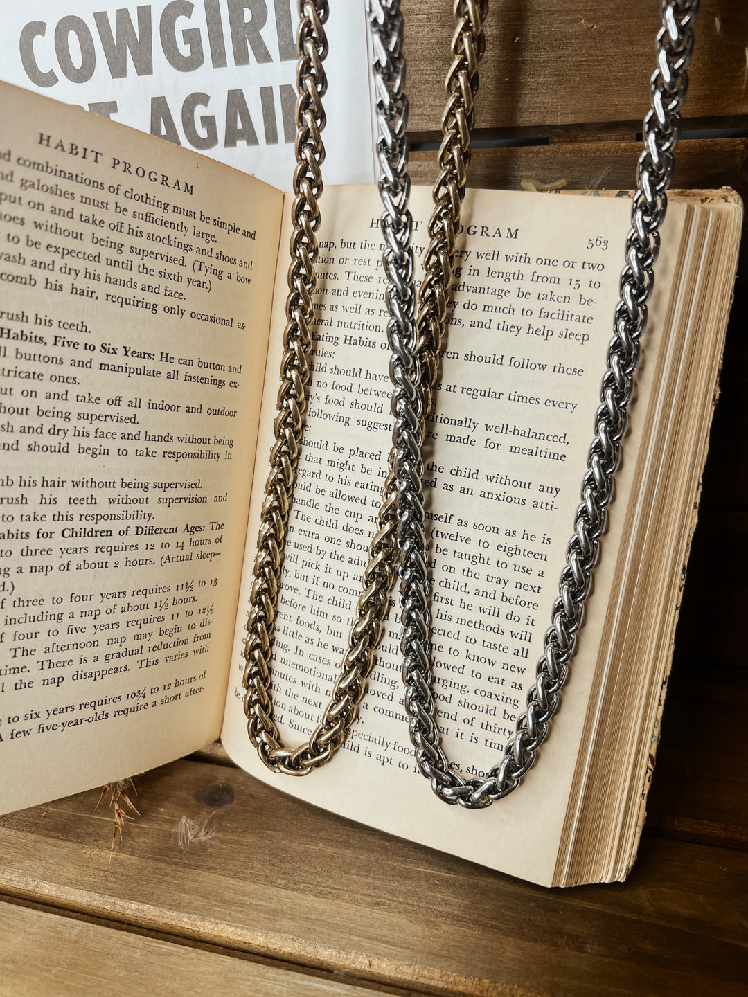 Rodeo Staple Chain Necklace