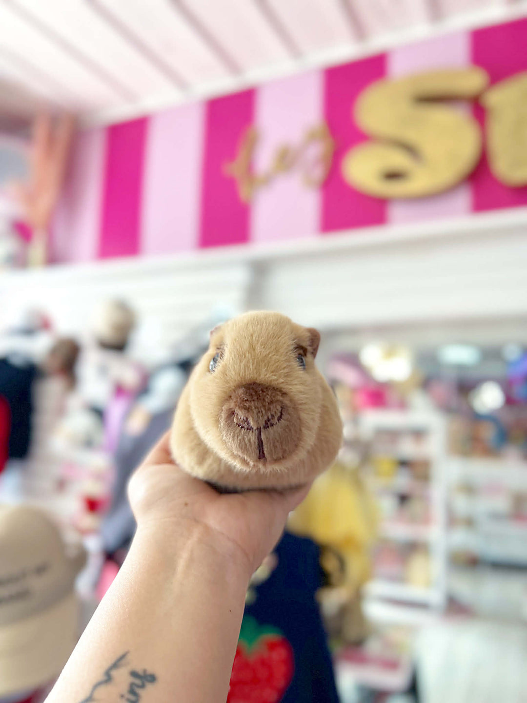 Chattie The Capybara Stuffed Animal