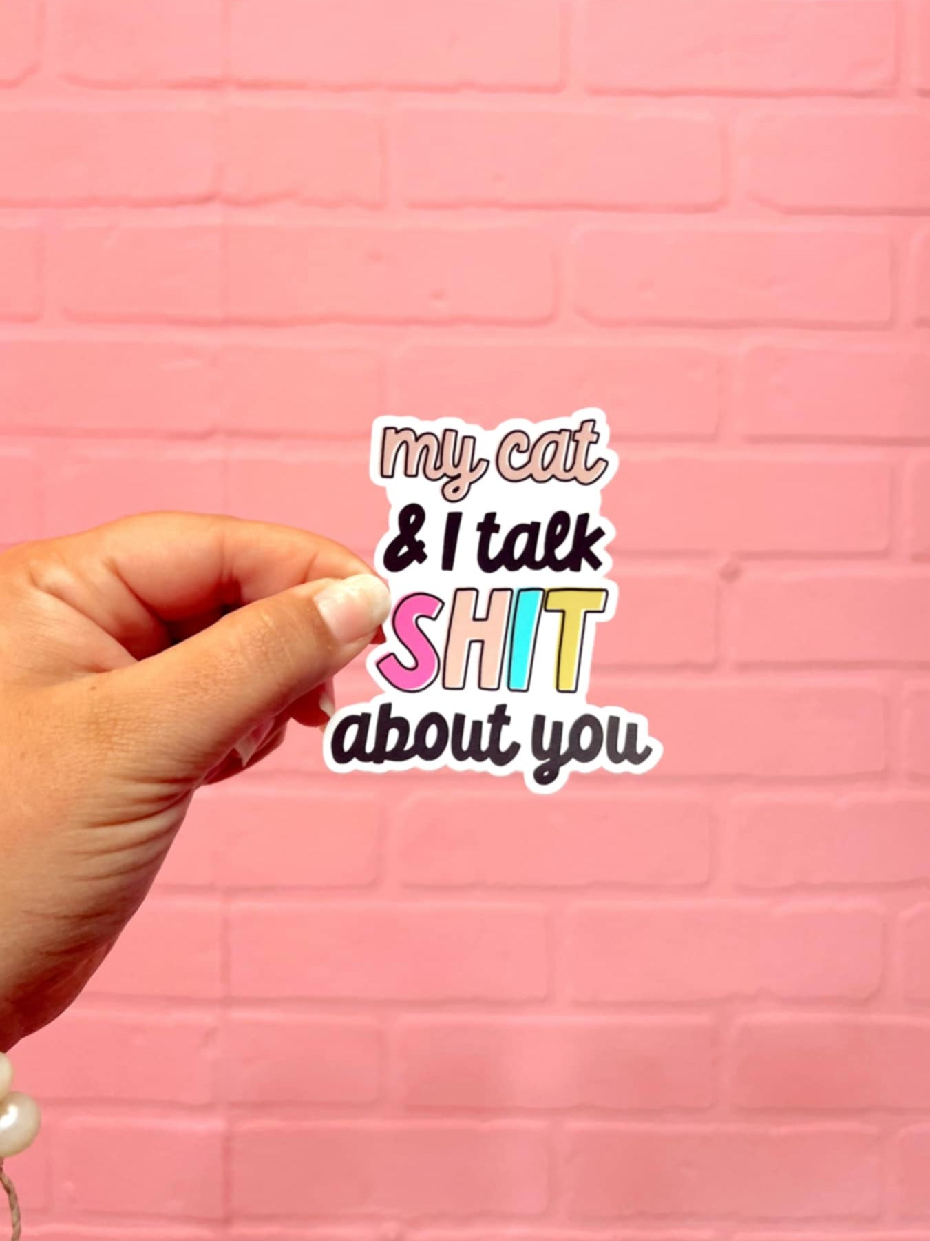 My Cat And I Talk Shit Sticker