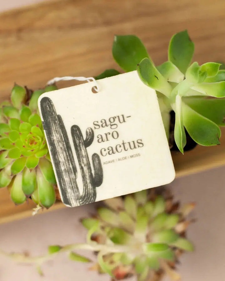 Saguaro Cactus Car Freshener