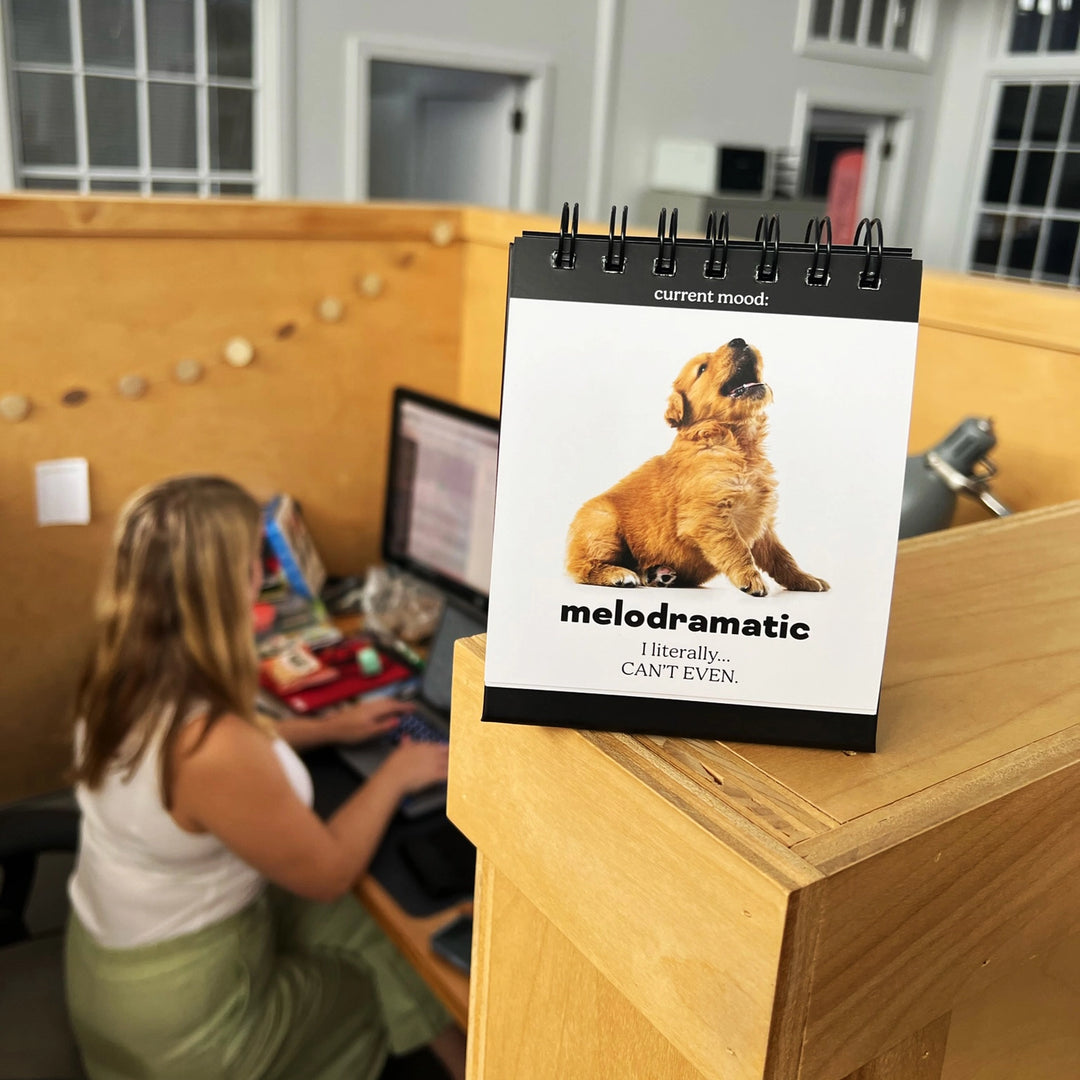 Daily Doggo Desk Flipchart