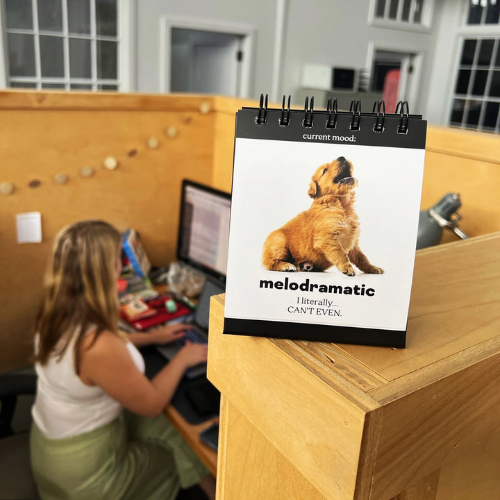 Daily Doggo Desk Flipchart