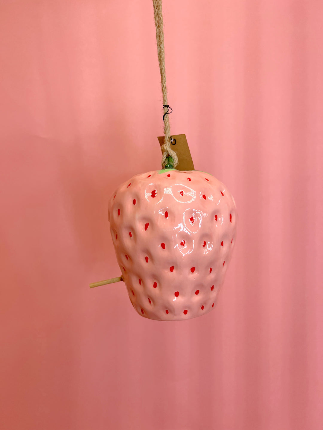 Hanging Strawberry Birdhouse