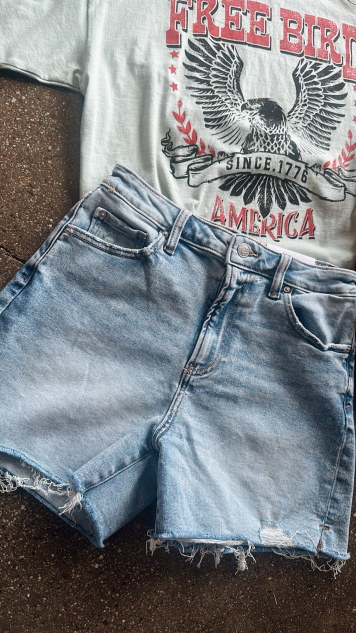 The Desi Denim Shorts