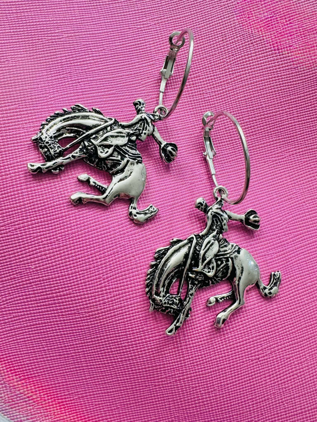 Wild Range Silver Earring Set