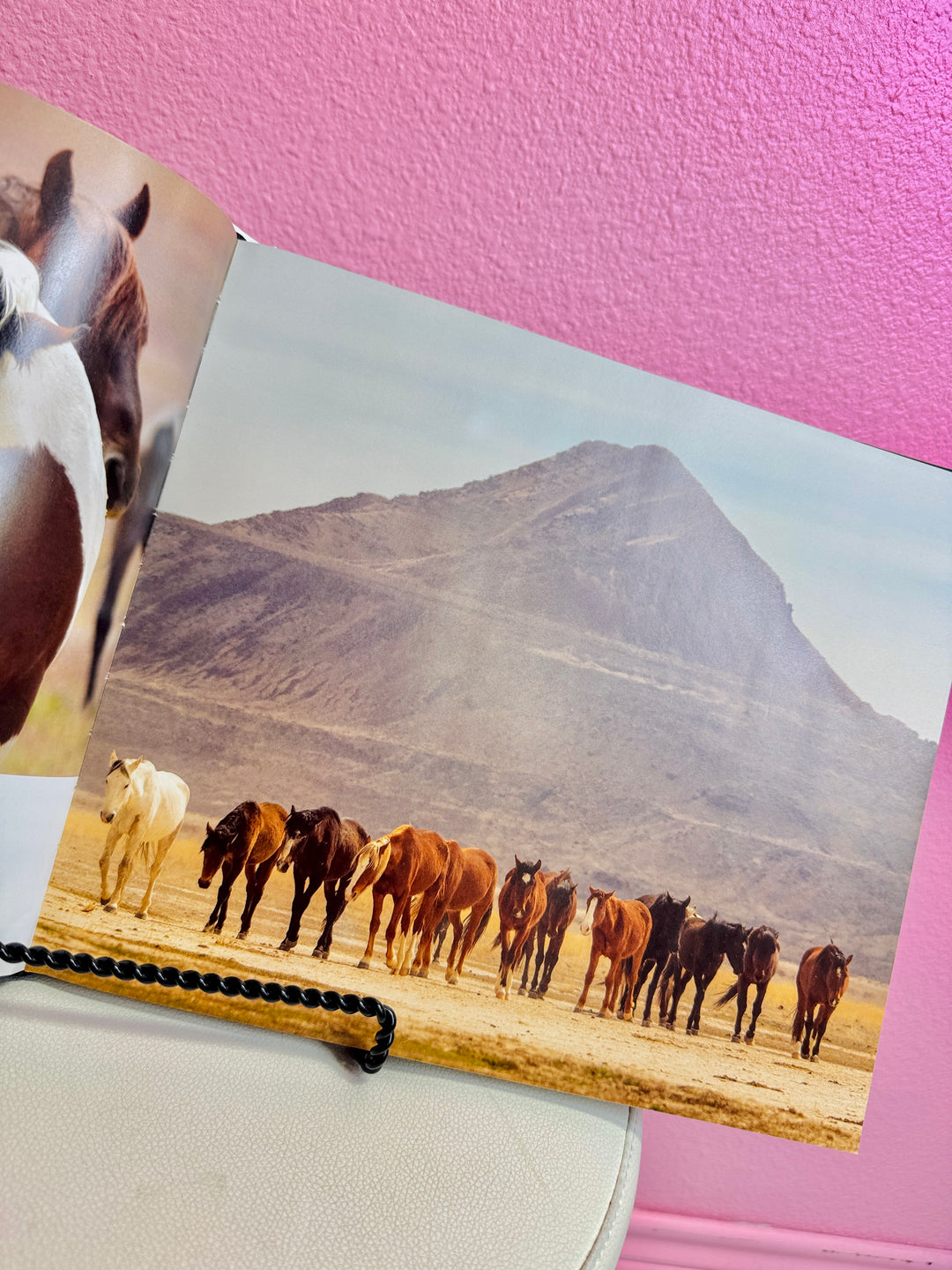 Wild Horses Coffee Table Book