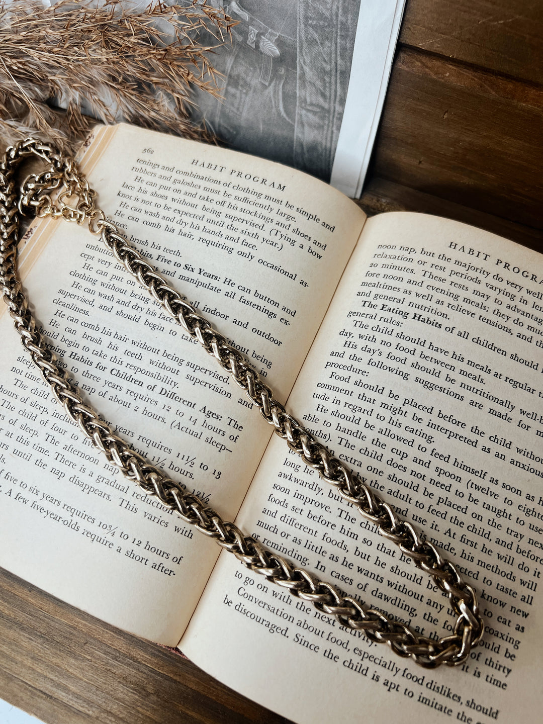 Rodeo Staple Chain Necklace