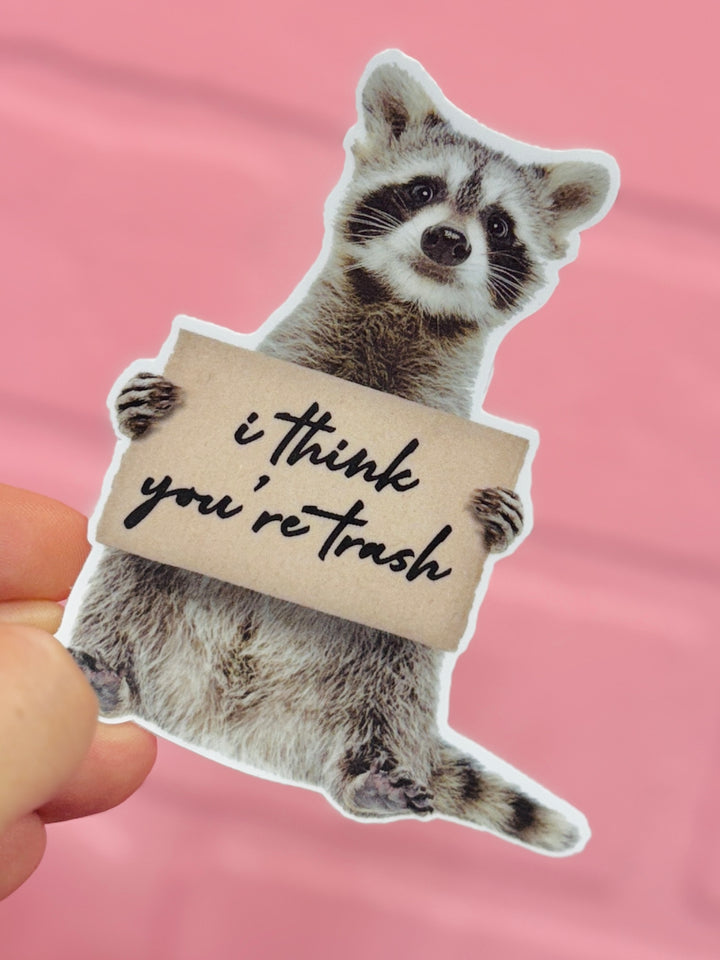 I Think You're Trash Racoon Sticker
