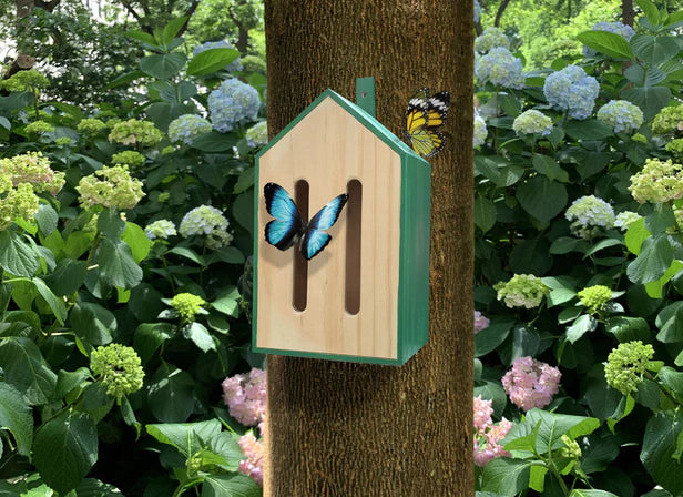 Little Butterfly House