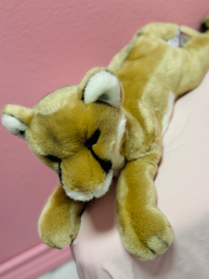 Kelso The Mountain Lion