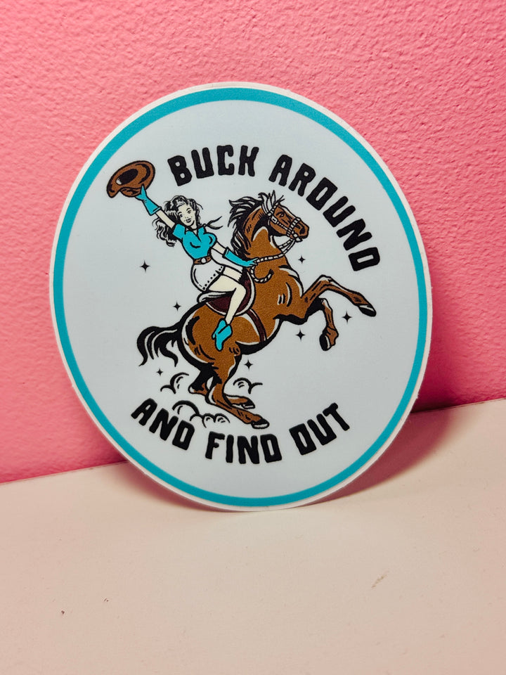 Buck Around And Find Out Sticker