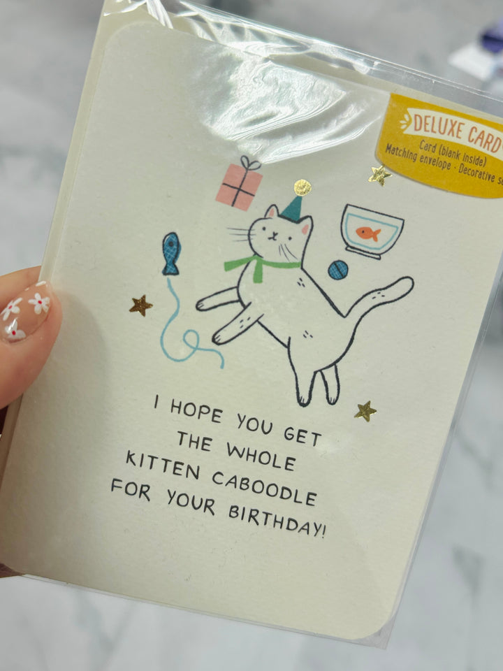 Whole Kitten Caboodle Greeting Card