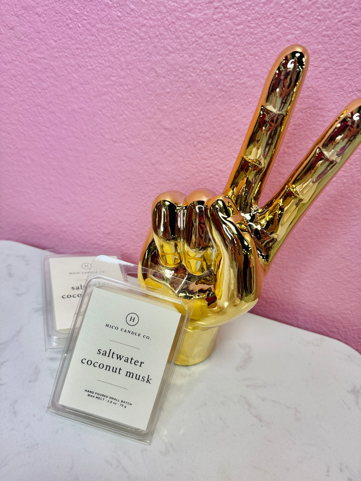 Saltwater Coconut Musk Wax Melt