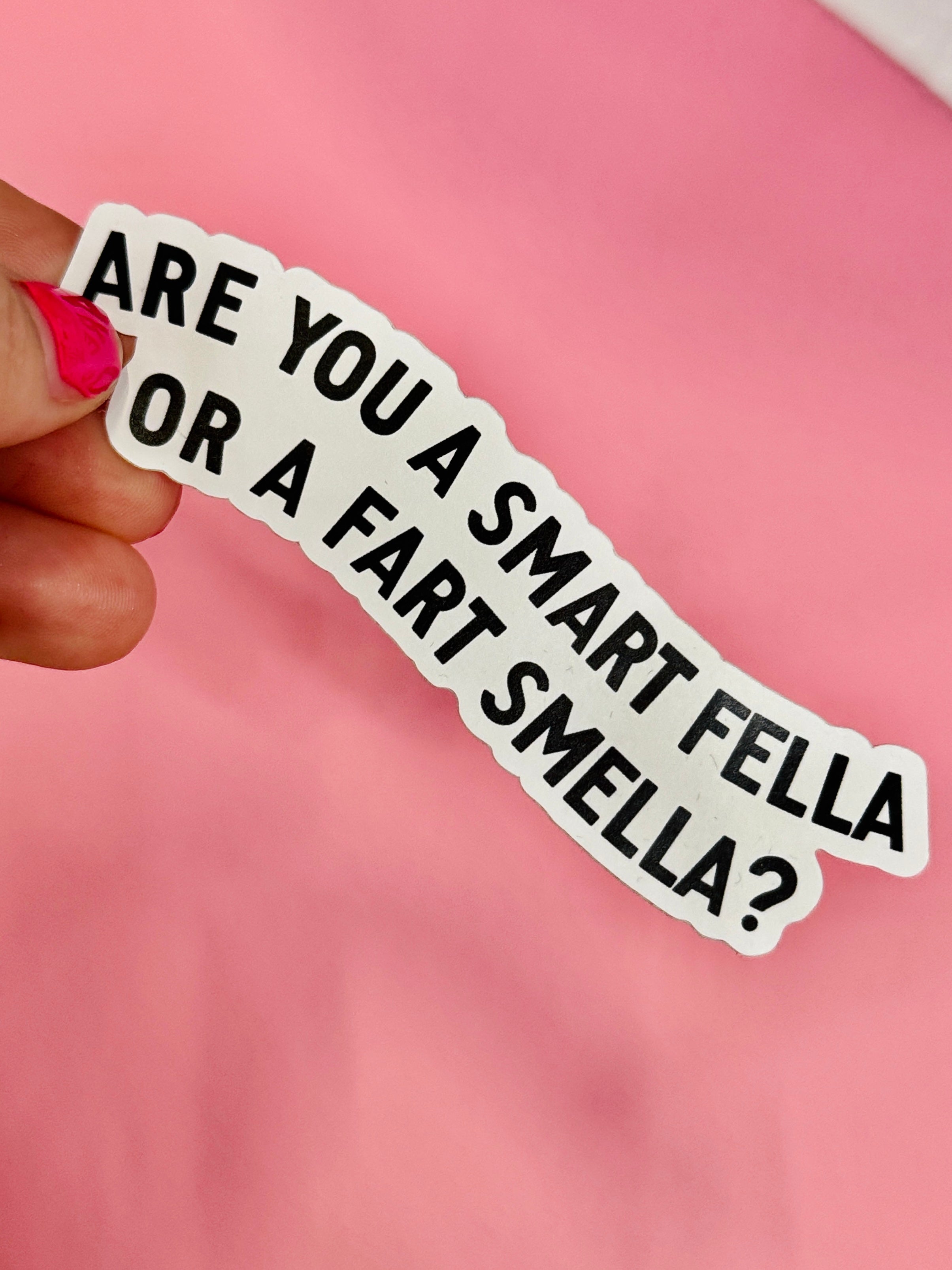 Are you a Smart Fella Sticker Decal – Shop The Pug