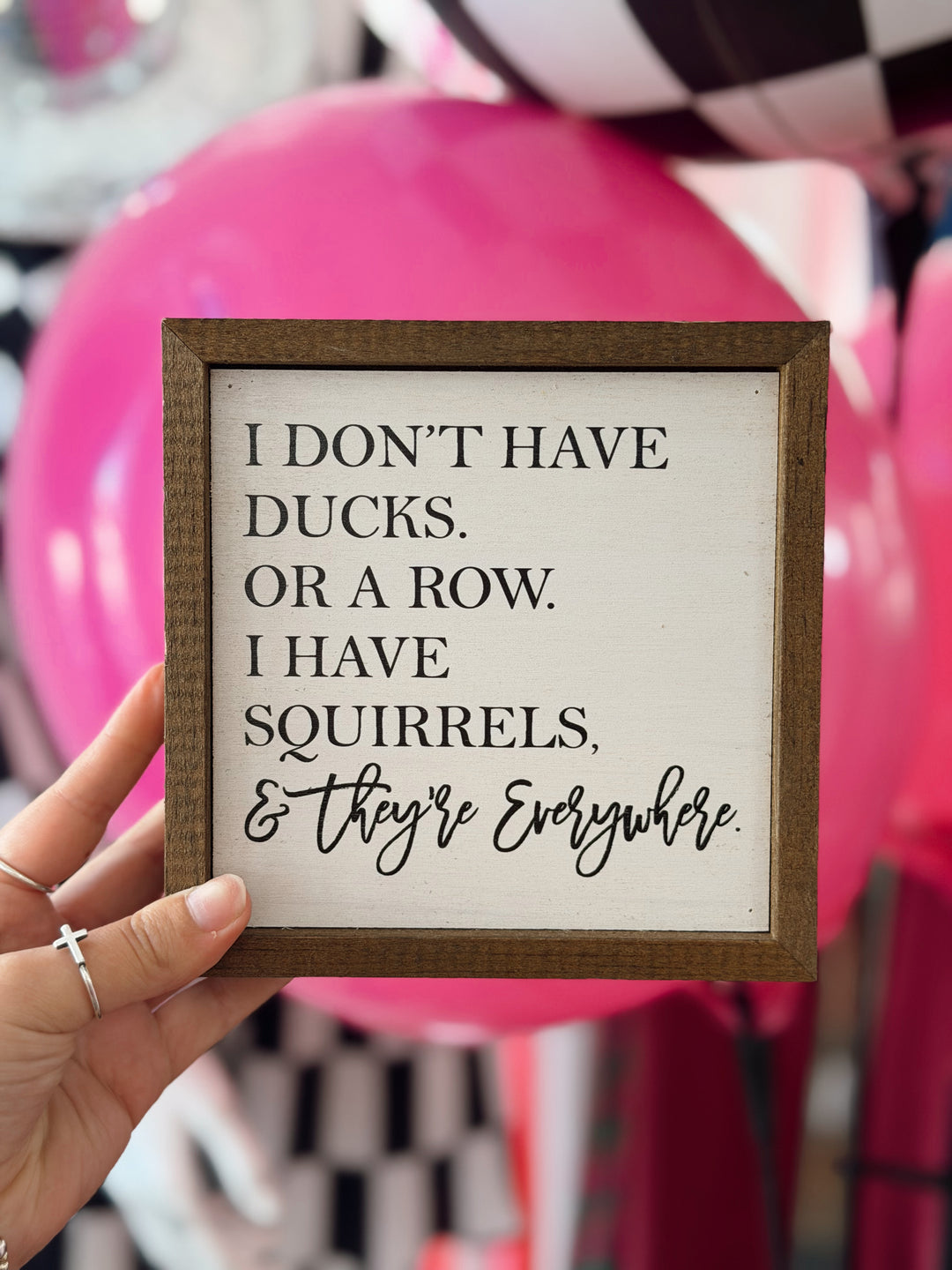 Ducks In A Row Sign