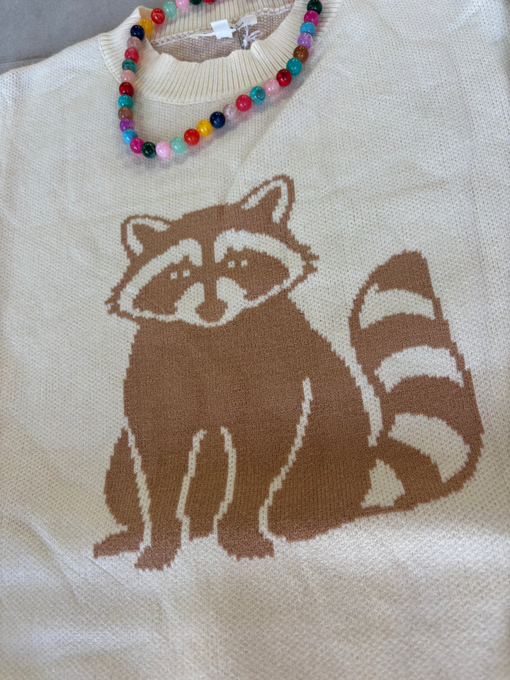 Roosevelt The Raccoon Sweater