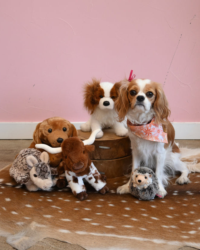 Austin The Armadillo Stuffed Animal