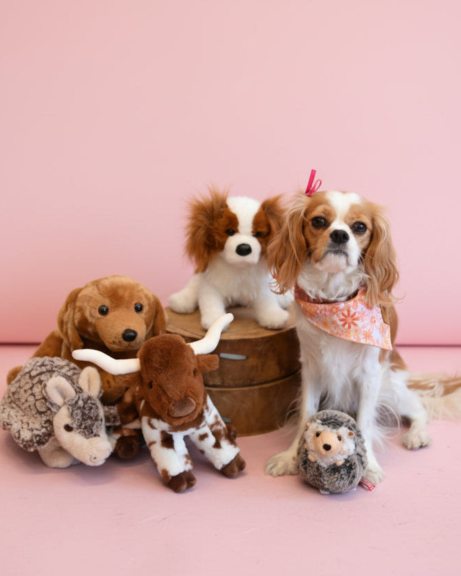 Bixby The Longhorn Stuffed Animal