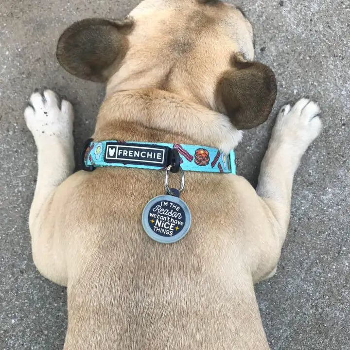 Can't Have Nice Things Dog Collar Charm