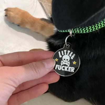 Little Fucker Pet ID Tag