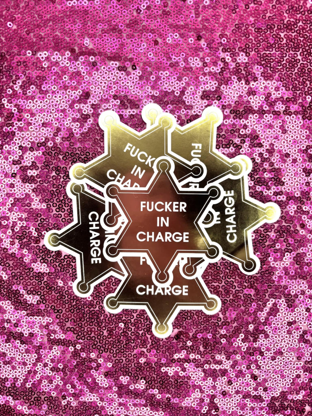 Fucker In Charge Vinyl Sticker