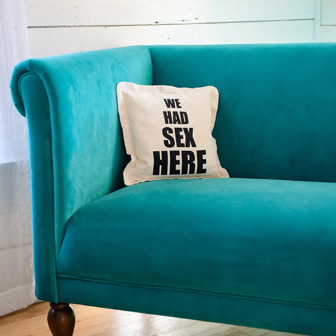 We Had Sex Here Pillow