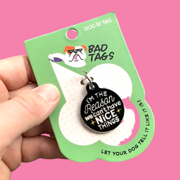 Can't Have Nice Things Dog Collar Charm