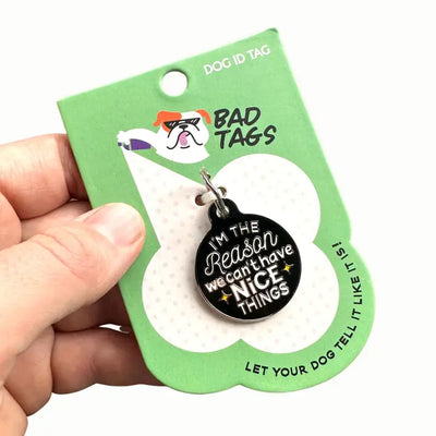 Can't Have Nice Things Dog Collar Charm