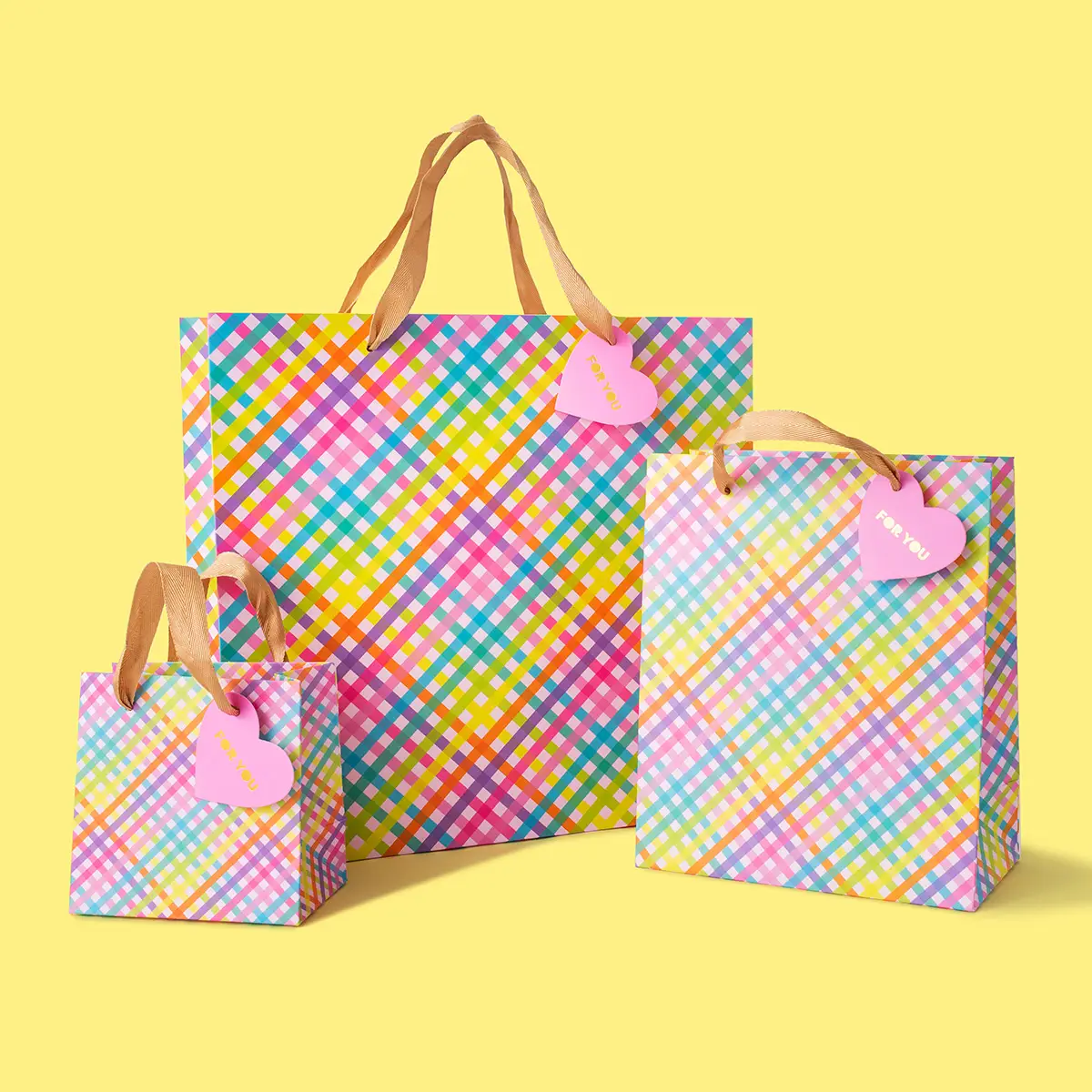 Rainbow Gingham Gift Bag