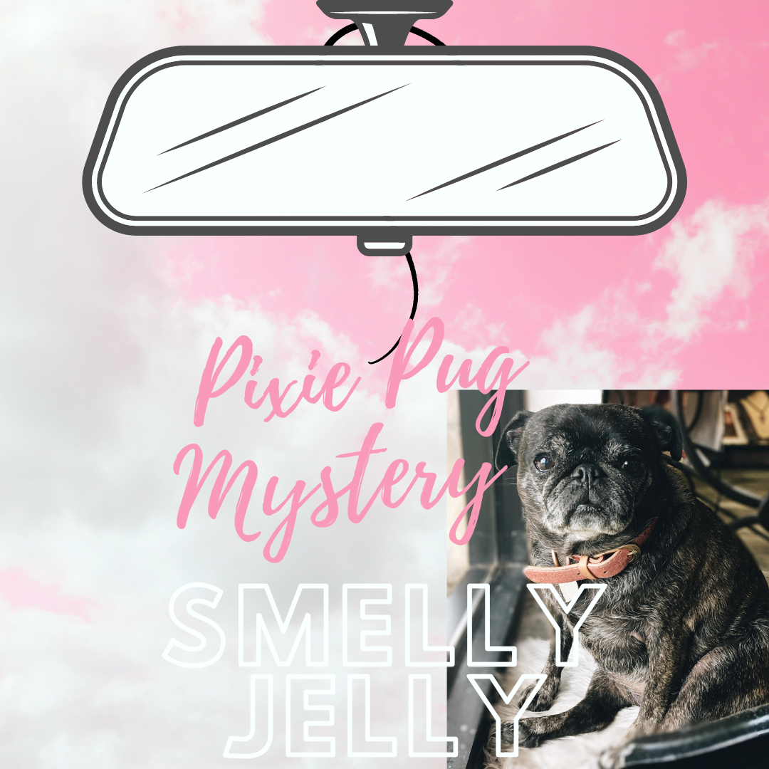Pixie Pug Mystery Smelly Jelly