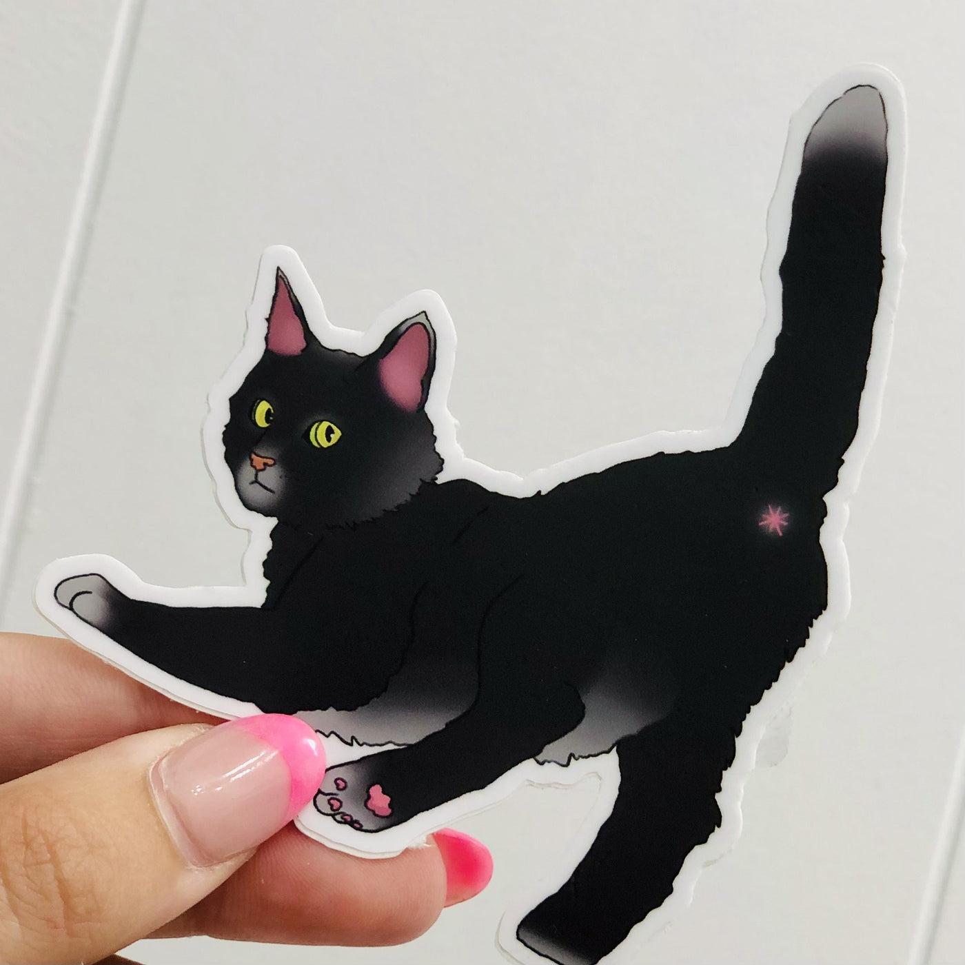 Cat Butthole Sticker